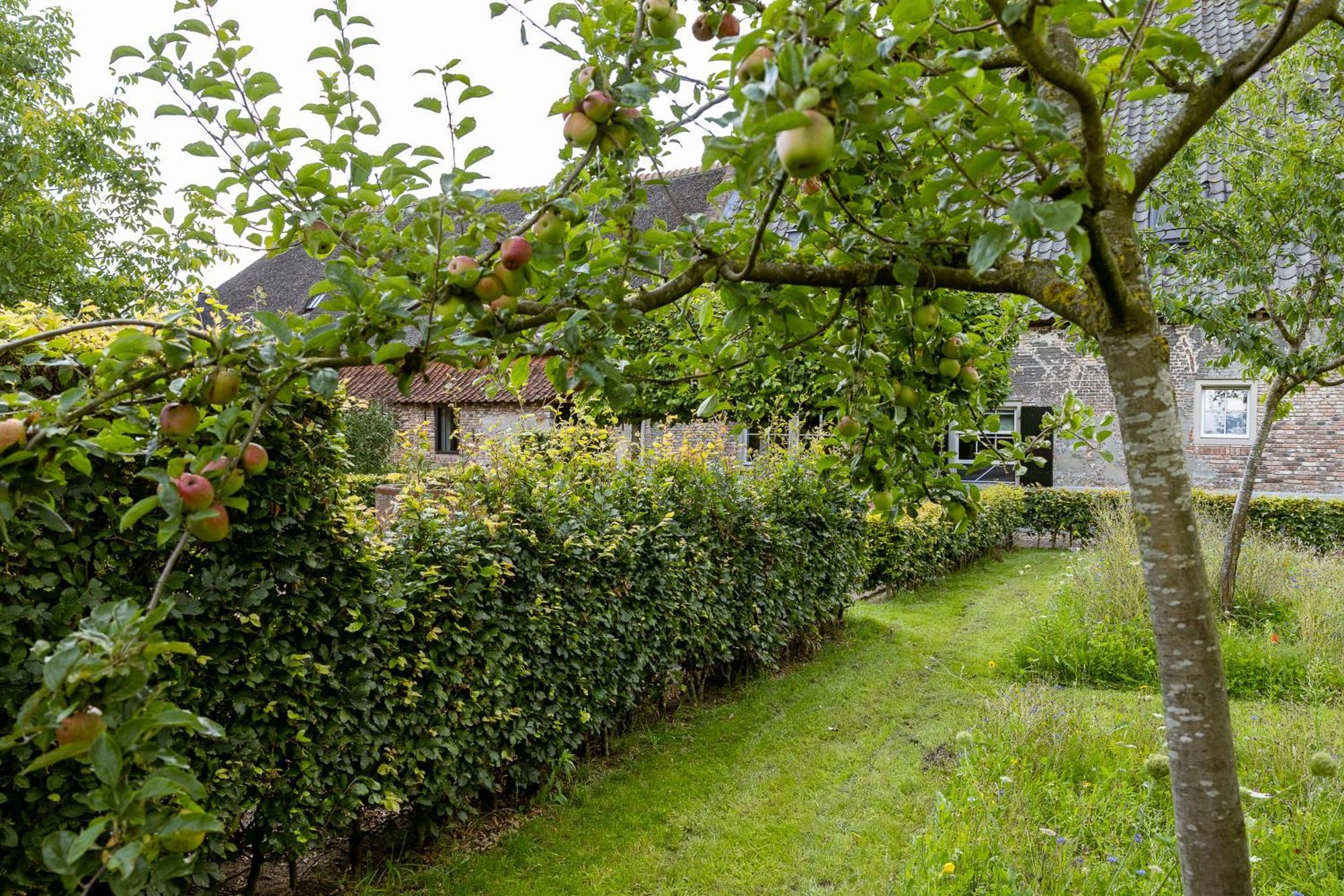 Den Eijngel Bed And Breakfast Бокстел Екстер'єр фото